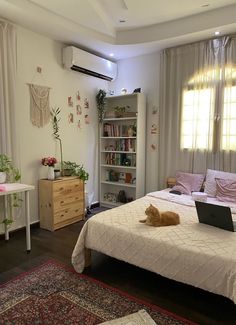 a cat laying on top of a bed in a bedroom