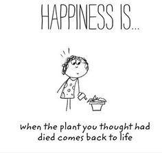 a cartoon drawing of a person holding a bowl with the caption happiness is when the plant you thought had died comes back to life