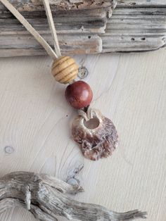 two pieces of driftwood are hanging from a rope on a wooden surface with other items