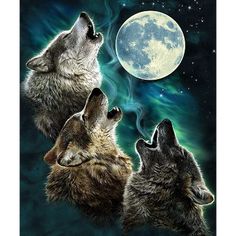 three wolfs looking up at the moon