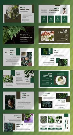 a green and white brochure with lots of images on the front, back and side