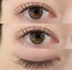 Lashing Techniques, Eye Lashes Extensions, Eye Lash Extensions, Natural Fake Eyelashes, Lash Extentions, Bentuk Alis, Lashes Extensions, Eyelash Extensions Styles