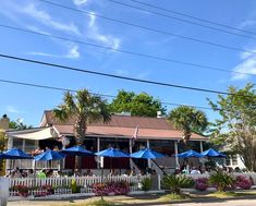 an outdoor restaurant with blue umbrellas and palm trees on the side of the road