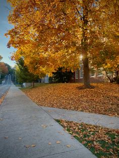 a sidewalk with leaves on the ground and trees in front of it that are turning yellow