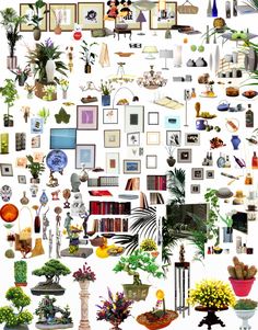 a collage of various pictures and vases with plants on the wall behind them