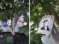 two pictures of a tree with balls hanging from it's branches