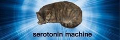 a cat that is laying down with the caption seretoin machine on it