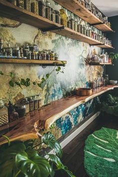 a room with shelves filled with jars and plants