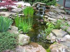 a small pond surrounded by rocks and plants