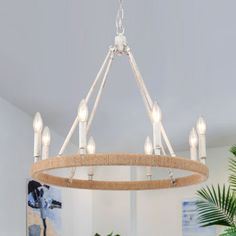 a chandelier hanging from the ceiling in a room with plants and pictures on the wall