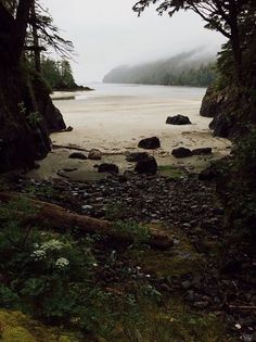 the water is calm and there are rocks in the foreground with trees on either side