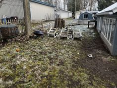 the backyard is littered with grass and debris