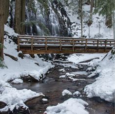 a wooden bridge over a small stream in the woods with snow on the ground and trees