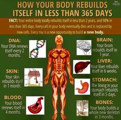 Health Heal, Electric Foods, Medical Knowledge, Natural Therapy, Health Knowledge, Natural Health Remedies, The Human Body, Health Info, Holistic Healing