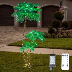 a palm tree is lit up with green lights