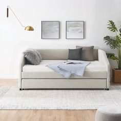 a living room scene with focus on the couch and pillows, potted plants and two framed pictures