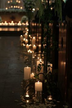 candles are lined up on the ground in front of a building with windows and greenery