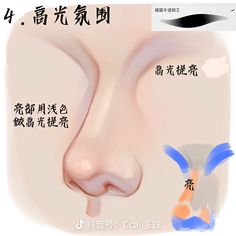 an image of a nose with chinese characters on it's side and in the background