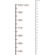 a ruler with the height and length