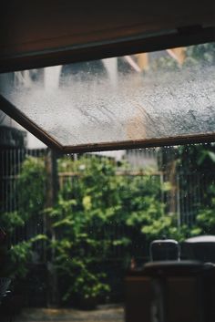 the rain is coming down on the window pane and green plants are in the background