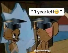 two cartoon mouses wearing graduation caps and gowns, one saying 1 year left