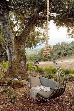 a swing chair hanging from a tree in the woods