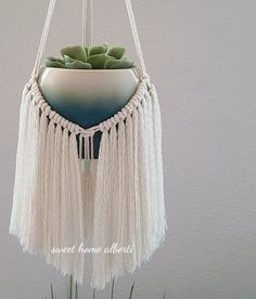 a hanging planter with succulents and tassels on the bottom