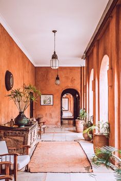 an orange hallway with potted plants and chairs