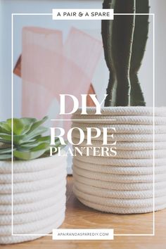 two rope planters sitting on top of a table next to a potted cactus