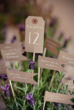 there is a small potted plant with purple flowers and brown tags on it's stems