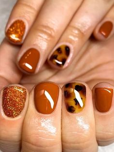 burnt orange with glitter nails Gel Nails Designs, Crafts Thanksgiving, Cute Nail Colors, Thanksgiving Nail Designs, Short Gel Nails, Fall Gel Nails, Thanksgiving Nails, Gel Nail Design, Winter Nail Designs