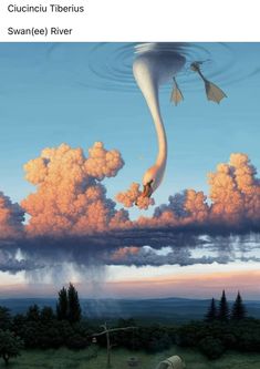 an image of a bird flying in the sky with clouds above it and trees below