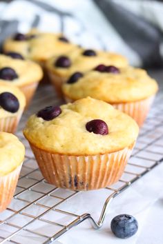 blueberry muffins cooling on a rack with fresh blueberries next to them