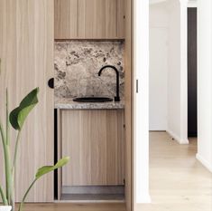 an open door leading to a bathroom with a sink and mirror on the wall next to a green plant