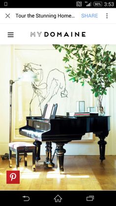 a living room with a black piano and a potted plant on the table next to it