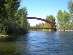 a red bridge over a river surrounded by trees