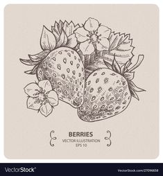 two strawberries and flowers on a beige background