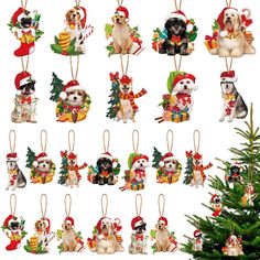 christmas ornaments with dogs and presents hanging from the top, on a white background next to a small fir tree