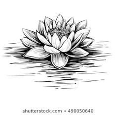 a black and white drawing of a lotus flower floating in the water with ripples