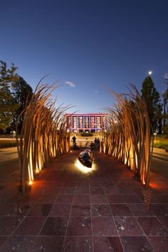 the walkway is lined with tall grass and lit up by lights on either side of it