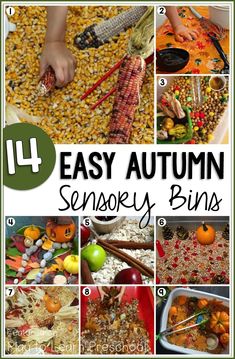 an easy autumn sensory bin for toddlers to play with