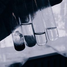 three test tubes filled with blue and green liquid hanging from the side of a window