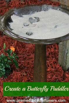 a bird bath sitting on top of a wooden pole