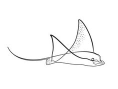 a black and white drawing of a stingper in the air with it's tail extended