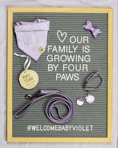 a sign that says, our family is growing by four paws welcome baby violets