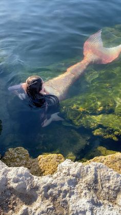 a person swimming in the water with a fish