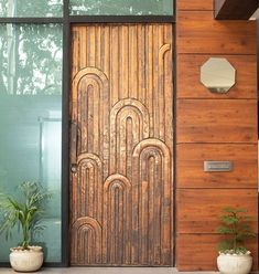 a wooden door with two potted plants next to it