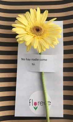 a yellow flower sitting on top of a piece of paper