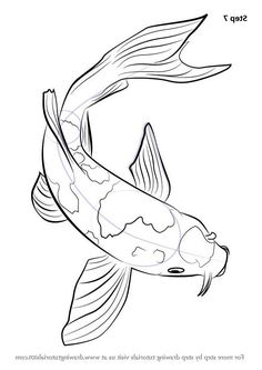 how to draw a koi fish step by step