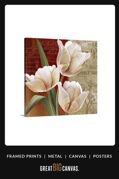 some white flowers are in front of a red background with the words framed prints metal canvass